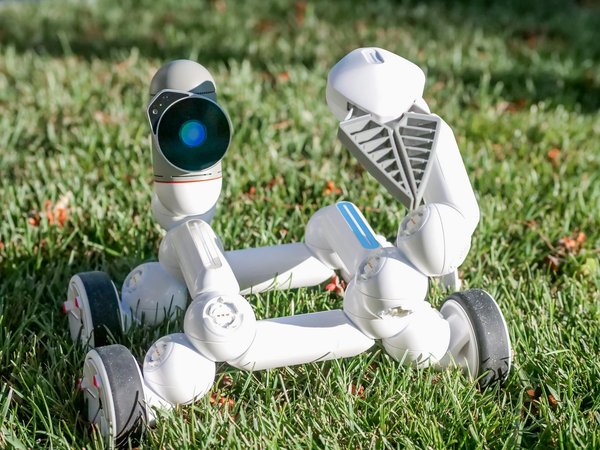 Cyber assurance : une nécessité en 2022 ?